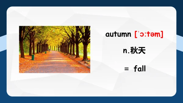 Unit 2 My favourite season单元复习 课件(共53张PPT)