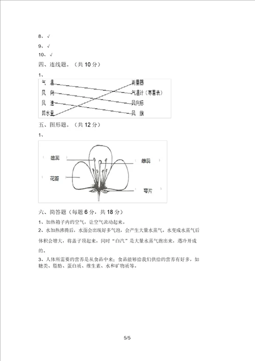 教科版小学三年级科学上册期中测试卷及答案