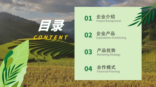 实景天然绿色生态农产品介绍PPT模板
