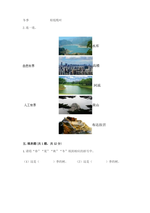 教科版小学二年级上册科学期末测试卷word.docx
