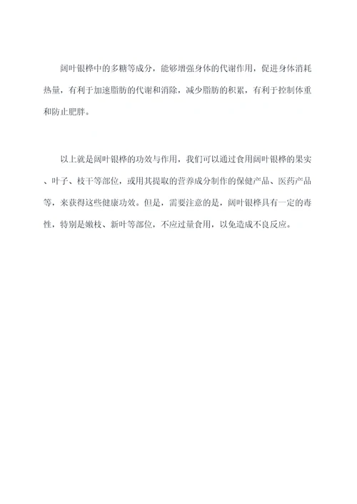 阔叶银桦功效与作用