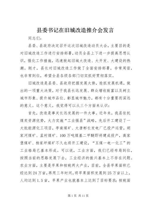 县委书记在旧城改造推介会发言.docx