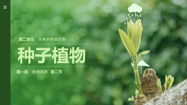 人教版（2024）七年级上册2.1.2 种子植物 课件(共32张PPT)+视频素材