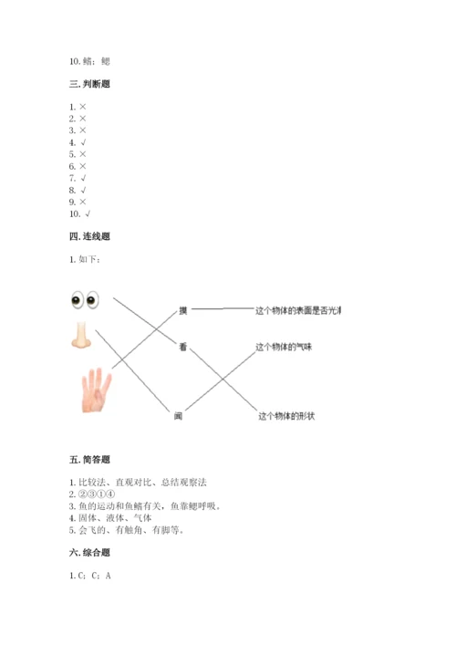 教科版一年级下册科学期末测试卷（全优）.docx