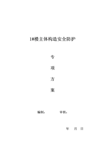 楼主体结构安全防护专项专题方案.docx