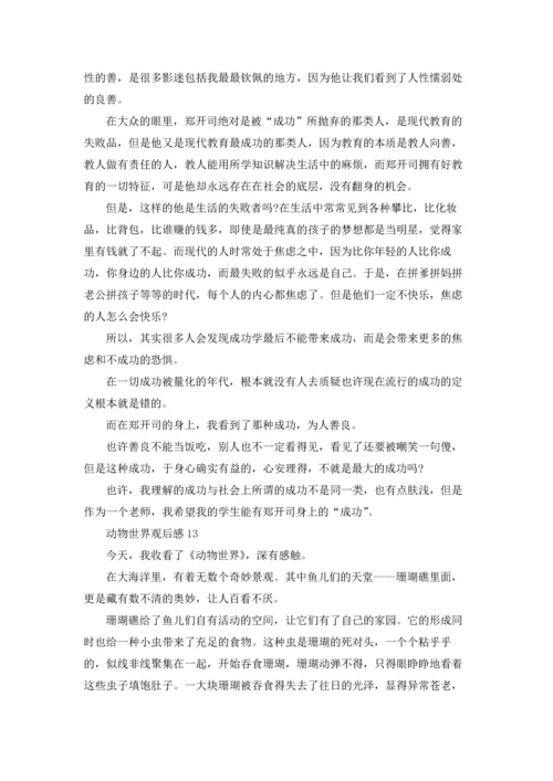 动物世界观后感15篇.docx
