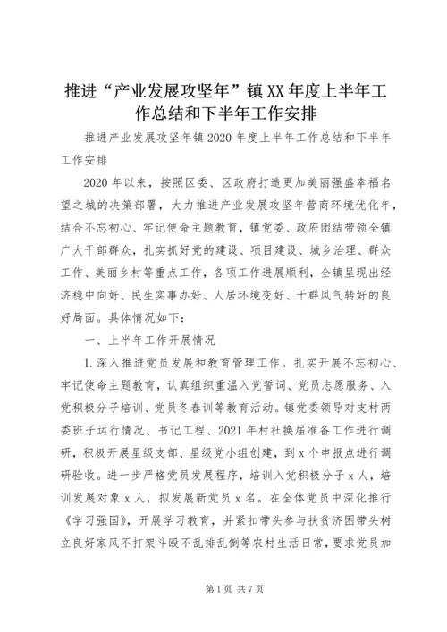 推进“产业发展攻坚年”镇XX年度上半年工作总结和下半年工作安排.docx