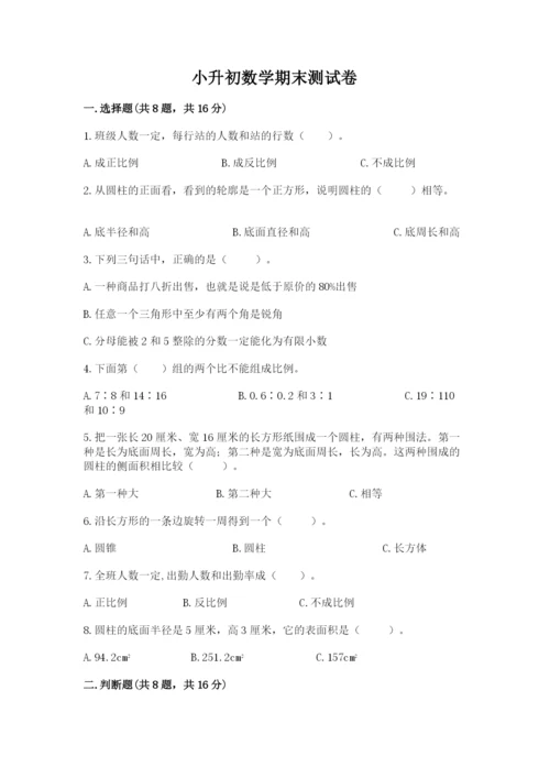 小升初数学期末测试卷（名师系列）.docx