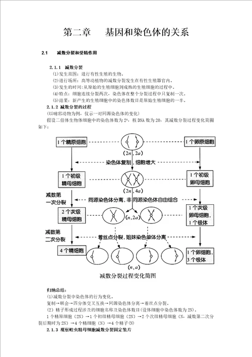 生物必修2知识