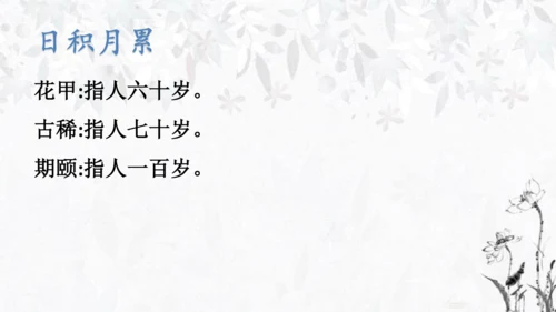 统编版语文五年级下册第六单元复习   课件