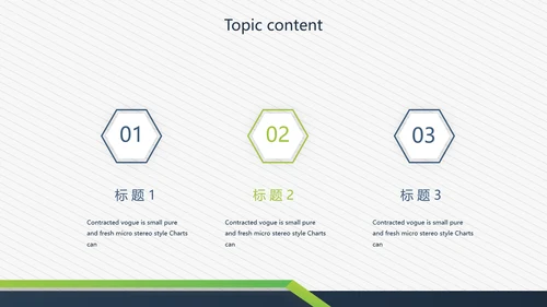 简约大方述职报告商务通用动态PPT模板