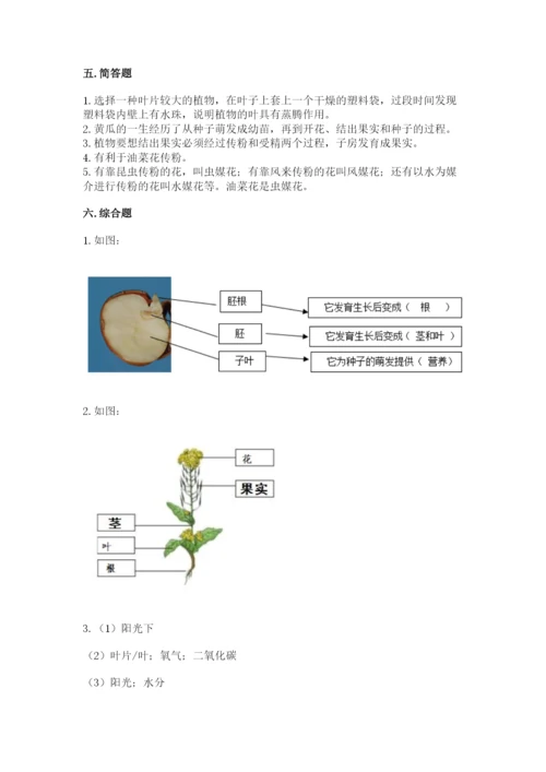 科学四年级下册第一单元植物的生长变化测试卷附完整答案【易错题】.docx