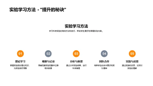 科学实验探究