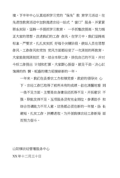 镇农经服务中心XX年度工作总结