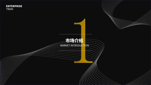 黑色简约线条创业计划书通用PPT模板