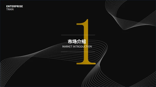 黑色简约线条创业计划书通用PPT模板