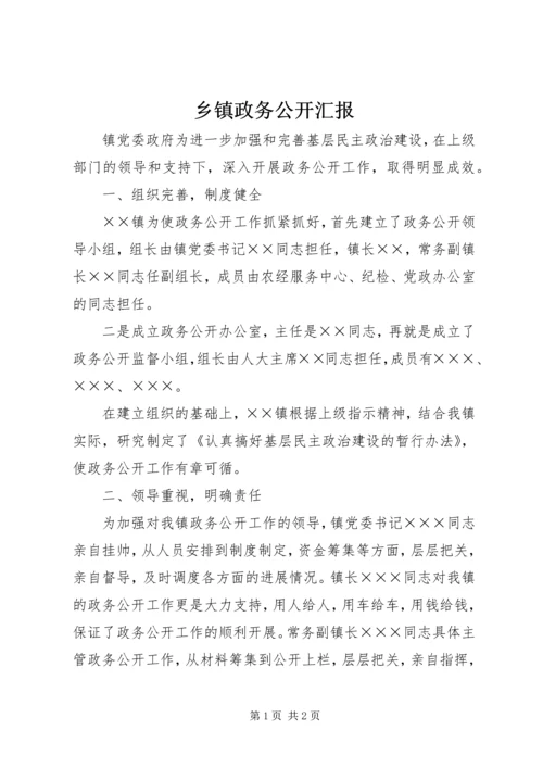 乡镇政务公开汇报.docx