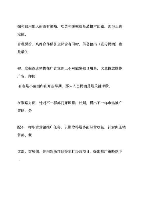 山庄专业策划专项方案.docx