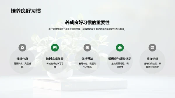 三年级的学习与成长