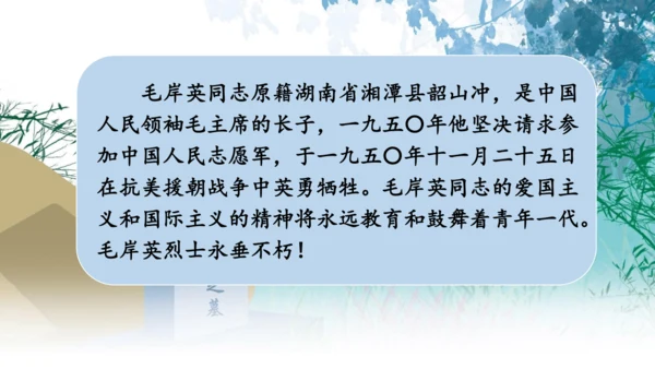 10《青山处处埋忠骨》课件