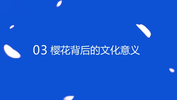 蓝色极简风赏樱攻略