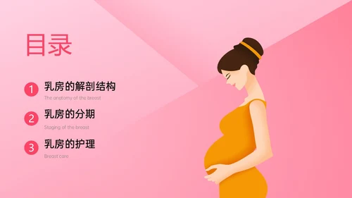 粉红色简约风乳房护理相关知识培训PPT课件乳腺
