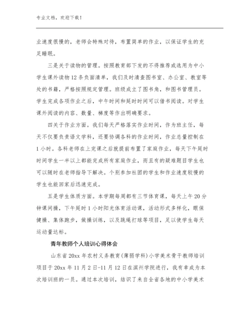 2024年青年教师个人培训心得体会范文10篇合辑.docx