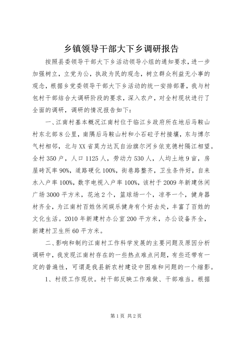 乡镇领导干部大下乡调研报告.docx