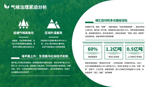 绿色清新森林生态环境保护调研汇报PPT模板