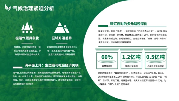 绿色清新森林生态环境保护调研汇报PPT模板