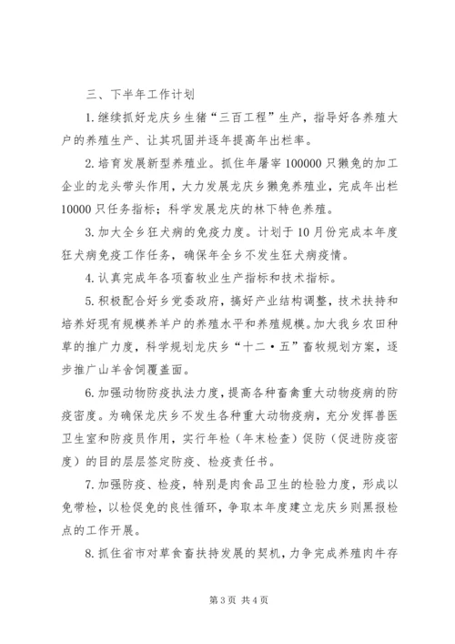 畜牧兽医站总结与规划.docx