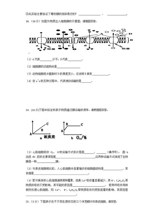 高中生物必修一第四章测试卷