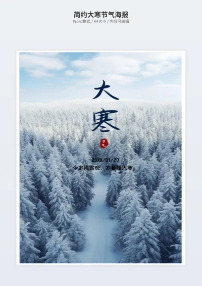 简约大寒节气海报
