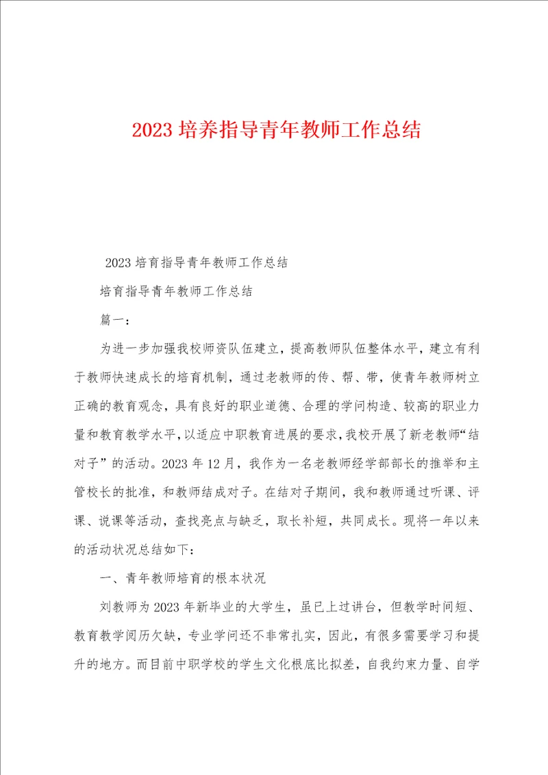 2023年培养指导青年教师工作总结