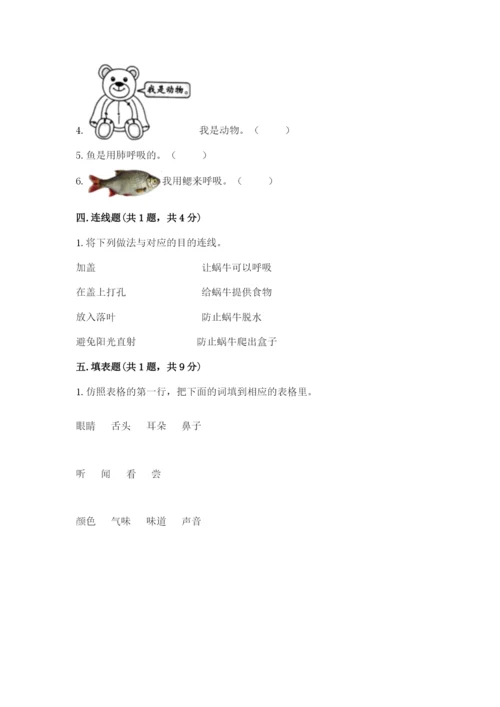 教科版一年级下册科学期末测试卷含答案【实用】.docx