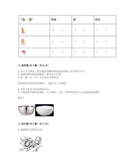 教科版一年级下册科学期末测试卷【典型题】.docx