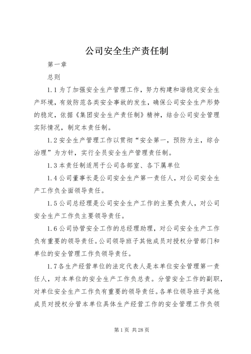 公司安全生产责任制 (7).docx