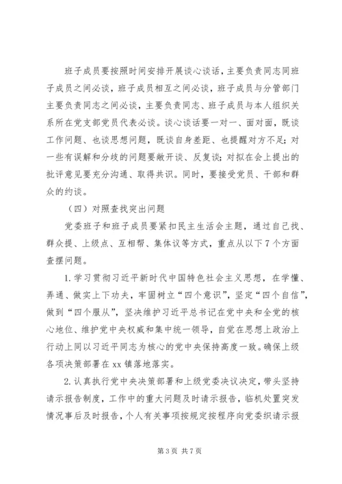 乡镇委员会某年度民主生活会方案.docx