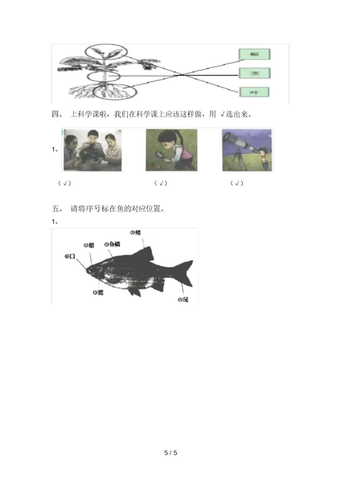 湘教版一年级科学上册期中考试及答案【通用】