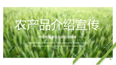 绿色农产品介绍宣传动态PPT模板