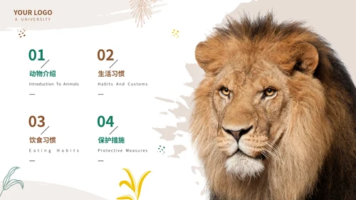 猎豹动物世界花豹科普介绍，豹子通用PPT模板