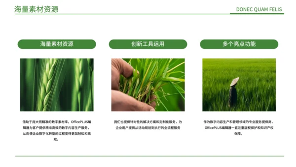 绿色简约风现代农业发展PPT
