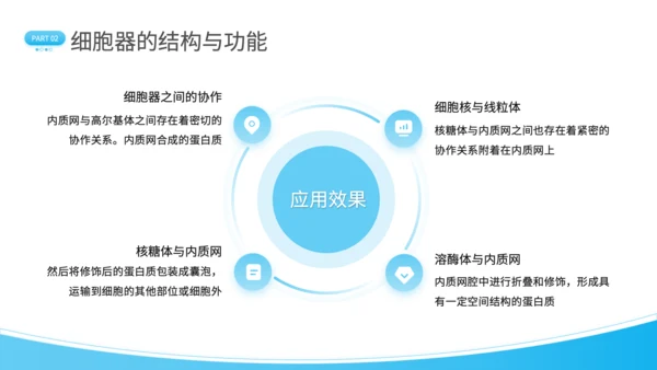 蓝色简约风细胞结构探秘PPT