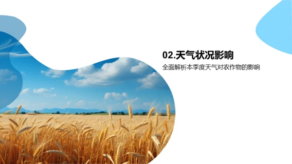 农业产量季度报告