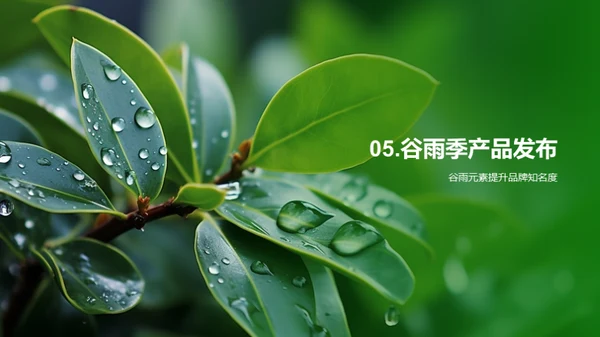 谷雨季营销策略