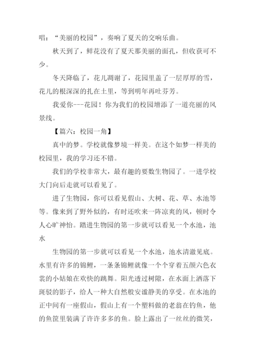 校园一角作文500字-1.docx