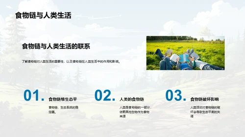 生态平衡与食物链