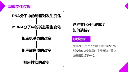基因突变和基因重组初高中生物PPT课件