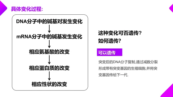 基因突变和基因重组初高中生物PPT课件