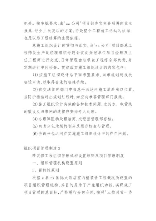 组织项目管理制度.docx